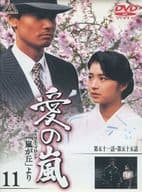 愛の嵐 (11)