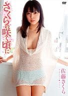 佐藤さくら / さくらの咲く頃に