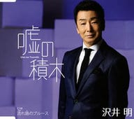 沢井明 / 嘘の積木
