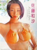 佐藤和沙 2005年度カレンダー 