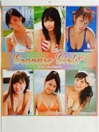 グラビアガールズ 2014年度カレンダー 