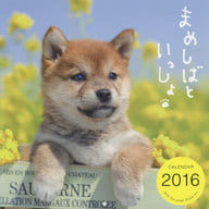 まめしばといっしょ 2016年度カレンダー