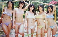ポスター ミスマガジン2008 桜庭ななみ・佐藤さくら・中川美樹・梅本静香・大谷澪集合 ヤングマガジン2008年08月25日発売号付録