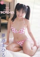 夢原まひろ / My Princess