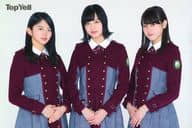鈴本美愉＆平手友梨奈＆守屋茜(欅坂46) ポストカード 「Top Yell 2017年1月号」 対象店舗購入特典