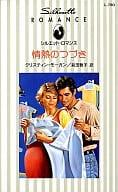 <<ロマンス小説>> 情熱のつづき