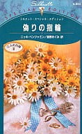 <<ロマンス小説>> 偽りの指輪 三人の花嫁III