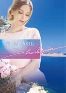<<ロマンス小説>> 愛と悲しみの丘 / ミシェル・リード