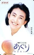 【単品】田中美里「NHK連続テレビ小説 あぐり」