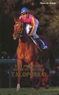 【単品】 テイエムオペラオー/和田竜二「2000 JRA AWARDS HORSE OF THE YEAR」
