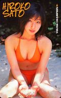 「佐藤寛子」 ヤングチャンピオン
