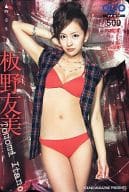 「クオカード500 板野友美」 週刊ヤングマガジン 抽プレ