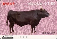 「オレンジカード1000円 第7糸桜号」 JR西日本・米子
