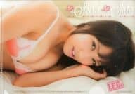 佐藤聖羅(SKE48) B5クリアファイル ヤングチャンピオン2015年2月25日号 増刊 烈 No.2付録 I.F.C.No.171