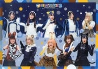 サバンナガールズ+PPP+山下まみ(マーゲイ) A4クリアファイル 「舞台『けものフレンズ』2～ゆきふるよるのけものたち～」