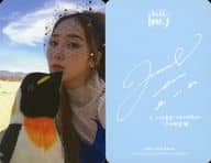 ジェシカ(Jessica)/バストアップ・ペンギンのぬいぐるみ/CD「With Love， J」特典フォトカード