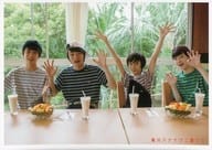 MAGiC BOYZ/集合(4人)/横型・「熱川バナナワニ園にて」/CD「第一次成長期 ～Baby to Boy～」特典トレカ