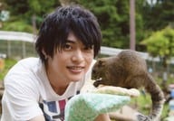 平田雄也/横型・バストアップ・衣装白青赤・右向き・両手上げ・カメラ目線・リス/「平田雄也 23rd Birthday Event」生写真セットO