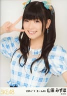山田みずほ/上半身/｢2014.11｣ランダム生写真