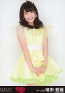 植田碧麗/膝上/｢AKB48グループ夏祭り＠幕張メッセ｣会場限定生写真
