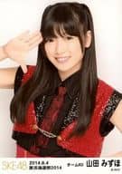 山田みずほ/上半身/美浜海遊祭2014 SPECIAL LIVE SHOW ランダム生写真