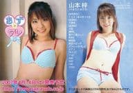 PR ： 山本梓/プロモ/山本梓 オフィシャルカードコレクション あずンデレ 告知