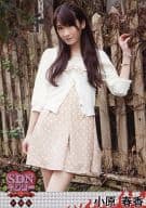 小原春香/膝上/DVD｢サタデーナイトイジリー特別版｣特典
