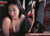 048 ： 佐藤寛子/2007 YC PREMIUM CARD ヤングチャンピオン付録