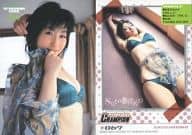 067 ： 佐藤寛子/2005 YC PREMIUM CARD 2005年12号 特典