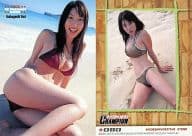 080 ： 小林恵美/2005 YC PREMIUM CARD 2005年14号 特典