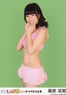篠原栞那/｢AKB1/149恋愛総選挙 初回限定生産版 超豪華誰得BOX｣封入生写真