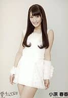 小原春香/愛、チュセヨ/劇場盤特典生写真