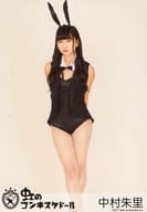 虹のコンキスタドール/中村朱里/全身(足見切れ)・衣装黒・ウサ耳・両手後ろ・背景ベージュ/「秋のワンマンLIVEツアー 衝動的etc」ランダム生写真 ハロウィンver. 