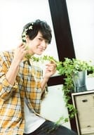 井澤巧麻/膝上・衣装黄色・白・チェック柄・座り・右向き・両手植物・口閉じ/「ISAWA TAKUMA TALK＆LIVE<<HOME>>」写真セットC