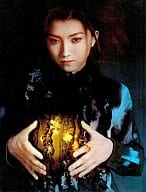 藤原竜也写真集 1/f ～YURAGI～