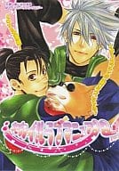 <<ナルト>> カカイルラブマニュアル / 沖銀ジョウ/秋穂来人/オオヒラヨウ/セツコ/のぉすだこた/バッカス/水上ハルカ/よね子他