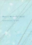 <<三国恋戦記>> What a Wonderful World / さわら （孔明×山田花） / さわらな日々