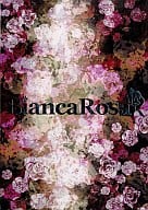 <<家庭教師ヒットマンREBORN！>> 【3点セット】Bianca Rosa / 蜜子 / 歩田川和果 （獄寺隼人×沢田綱吉） / ヒストリカ