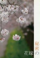 <<銀魂>> 秘密の花嫁 / おさる （土方十四郎×志村新八） / FIGHT IT OUT!ANNEX