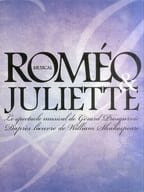 <<パンフレット(舞台)>> パンフ)ミュージカル ロミオ＆ジュリエット Romeo ＆ Juliette 2017 公演プログラム 舞台写真Ver.