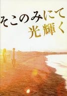 <<パンフレット(邦画)>> パンフ)そこのみにて光輝く(プレスシート)