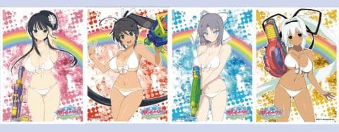 セクシーダイナマイト！「閃乱カグラ」グッズ11月号