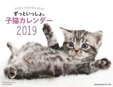 にゃんにゃんにゃん♪今日はねこの日！ねこグッズ特集