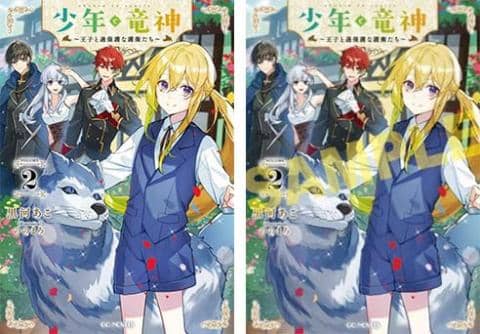 【駿河屋限定版】ラノベ「少年と竜神 ~王子と過保護な護衛たち~2巻 / 黒河あこ」好評発売中!