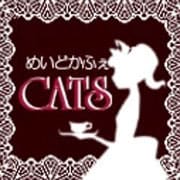 めいどかふぇCATS