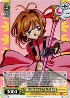 CCS/W113-008S[SR]：(ホロ)“風に吹かれて”木之本桜