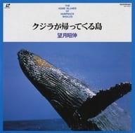 クジラが帰ってくる島