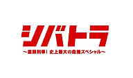 シバトラ～童顔刑事!史上最大の危機スペシャル～