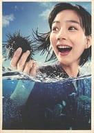 あまちゃん 完全版 DVD-BOX 1