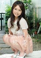 桃葉(ももは) / Peach Leaf